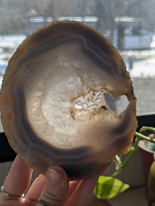 Blue Agate slab with drusy quartz center!